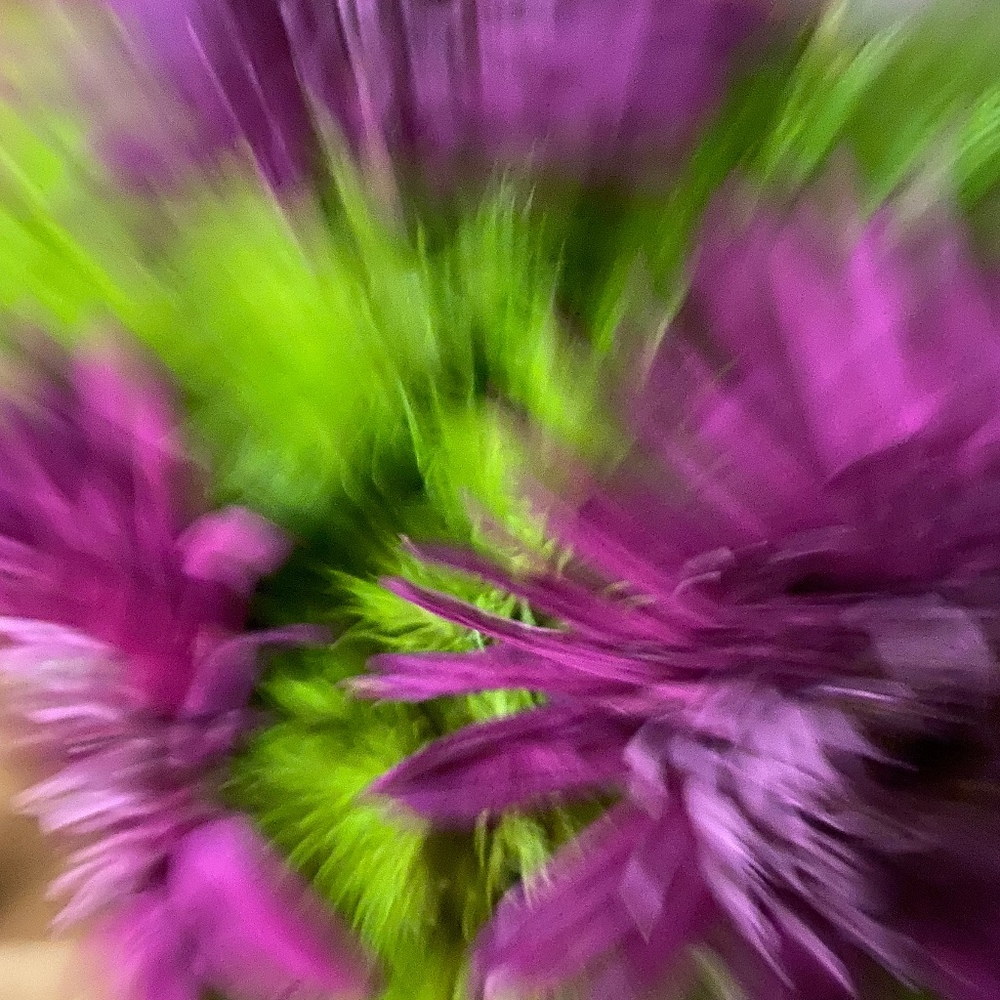 Meet your Posher, Jodine